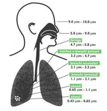 Air Quality PM2.5